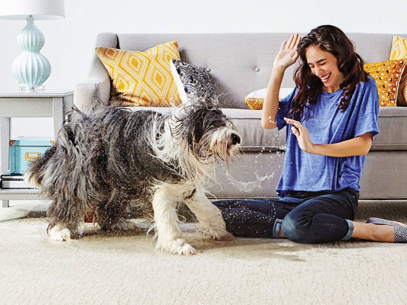 Woman in living room with dog from Flooring Xpress Enterprise in Chicago